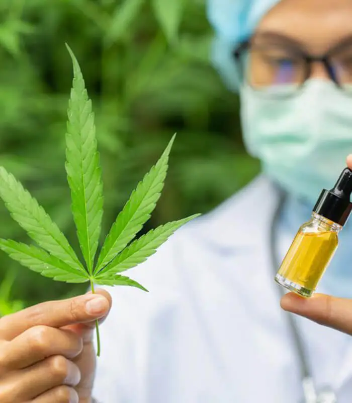 medical marijuana researcher holding cannabis plant and tincture