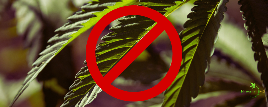 marijuana flower with ban emblem across it