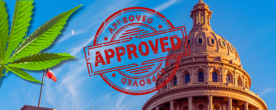 texas state capital with approved overlay sign and cannabis flower overlay for medical marijuana doctor texas